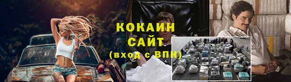кокс Алексин